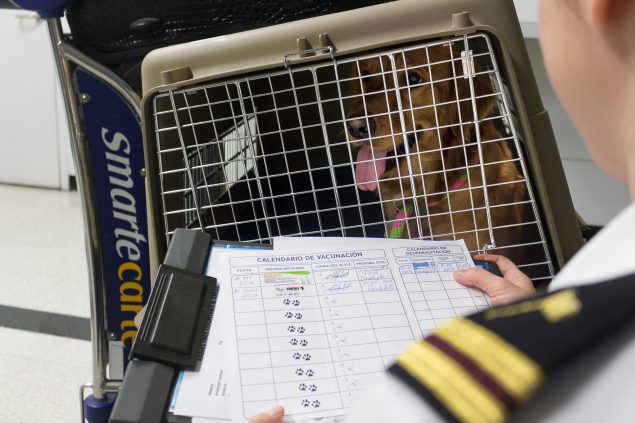 cuanto cuesta un pasaporte para perros en estados unidos